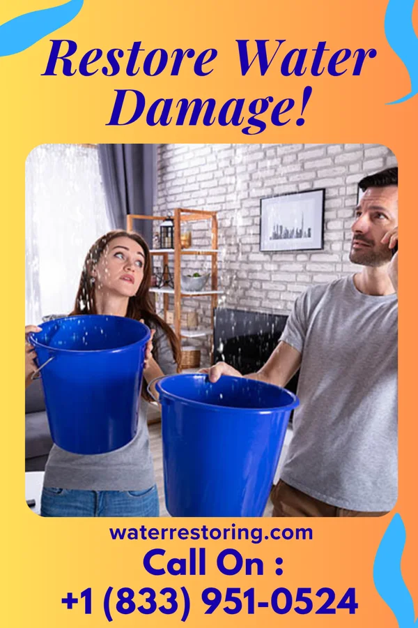 water restoration Diamond Property Restoration Masters Egypt
